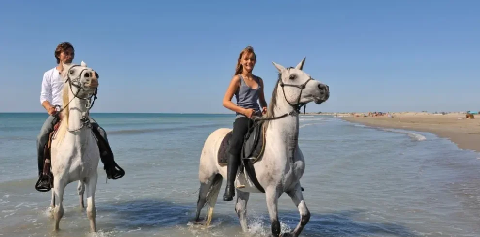 1 hour beach horse ride in sha1737293500